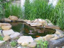foto/forum/2010/th-img13747.jpg
