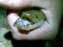foto/forum/2010/th-img13770.jpg