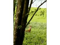 foto/forum/2010/th-img13797.jpg
