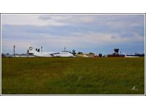 foto/forum/2010/th-img13799.jpg
