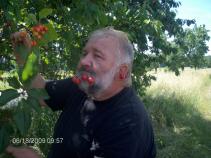 foto/forum/2010/th-img13802.jpg
