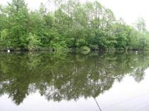 foto/forum/2010/th-img13829.jpg