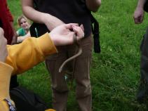 foto/forum/2010/th-img13848.jpg