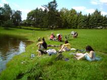 foto/forum/2010/th-img13898.jpg