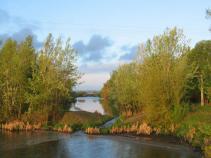 foto/forum/2010/th-img13945.jpg