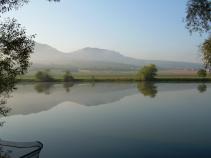 foto/forum/2010/th-img13946.jpg