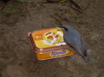 foto/forum/2010/th-img13947.jpg