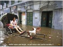 foto/forum/2010/th-img13960.jpg