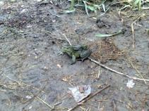 foto/forum/2010/th-img13963.jpg
