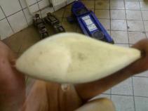 foto/forum/2010/th-img13975.jpg