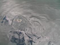 foto/forum/2010/th-img14037.jpg