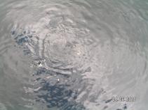 foto/forum/2010/th-img14038.jpg