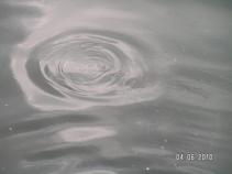 foto/forum/2010/th-img14039.jpg