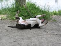 foto/forum/2010/th-img14074.jpg