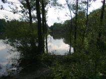 foto/forum/2010/th-img14146.jpg
