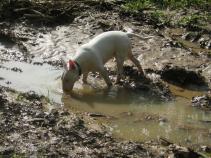 foto/forum/2010/th-img14154.jpg