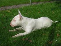 foto/forum/2010/th-img14158.jpg
