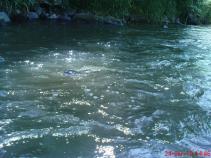 foto/forum/2010/th-img14196.jpg