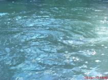 foto/forum/2010/th-img14197.jpg