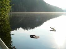 foto/forum/2010/th-img14292.jpg