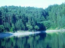 foto/forum/2010/th-img14310.jpg