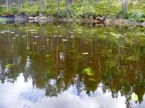 foto/forum/2010/th-img14328.jpg