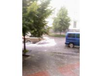 foto/forum/2010/th-img14423.jpg