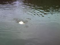 foto/forum/2010/th-img14457.jpg