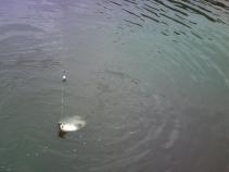 foto/forum/2010/th-img14458.jpg