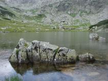 foto/forum/2010/th-img14500.jpg