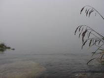 foto/forum/2010/th-img14504.jpg