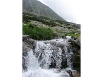 foto/forum/2010/th-img14505.jpg