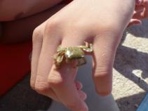 foto/forum/2010/th-img14631.jpg