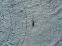 foto/forum/2010/th-img14641.jpg
