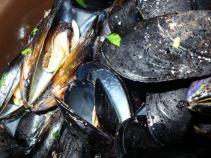 foto/forum/2010/th-img14646.jpg