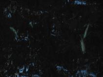 foto/forum/2010/th-img14649.jpg