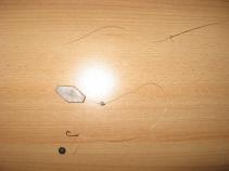 foto/forum/2010/th-img14693.jpg