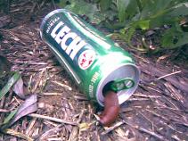 foto/forum/2010/th-img14767.jpg