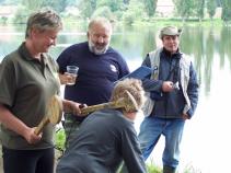 foto/forum/2010/th-img14770.jpg