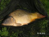 foto/forum/2010/th-img14800.jpg