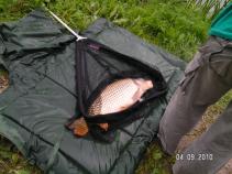 foto/forum/2010/th-img14802.jpg
