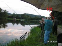 foto/forum/2010/th-img14810.jpg