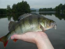 foto/forum/2010/th-img14829.jpg