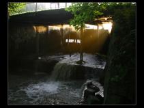 foto/forum/2010/th-img14859.jpg