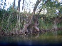 foto/forum/2010/th-img14926.jpg