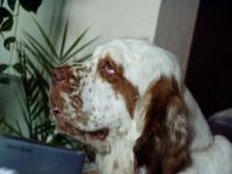 foto/forum/2010/th-img15009.jpg