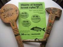 foto/forum/2010/th-img15045.jpg