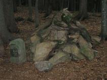 foto/forum/2010/th-img15108.jpg