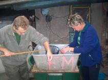 foto/forum/2010/th-img15151.jpg