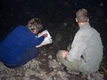foto/forum/2010/th-img15152.jpg